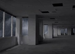 Level 4
